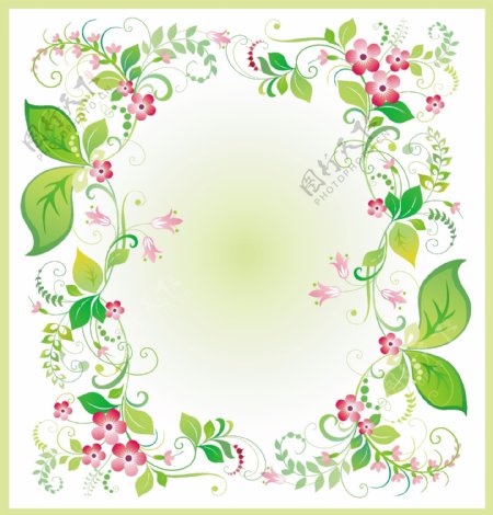 春天绿色线条花纹花边花朵边框图片