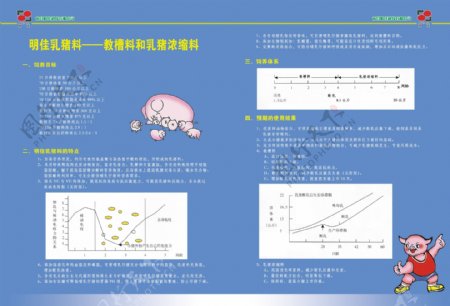 宣传册图片