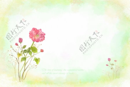 玫瑰花信纸背景图片