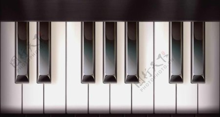钢琴键