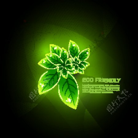 绿叶水珠水滴环保背景图片