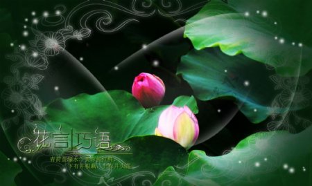 古典背景PSD模板花言巧语模板广告海报摄影模板PSD广告设计模板PSD源文件psd素材psd模板psd文件psd格式psd分层素材