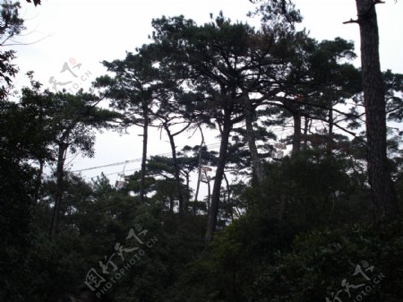 鼓山风景