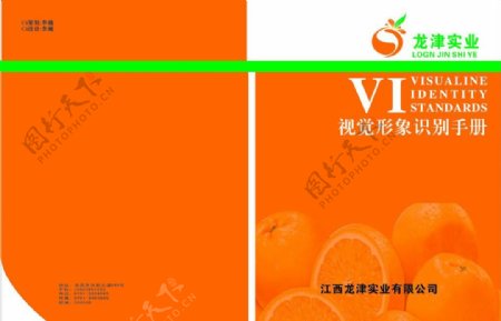 龙津实业有限公司vi手册封面图片