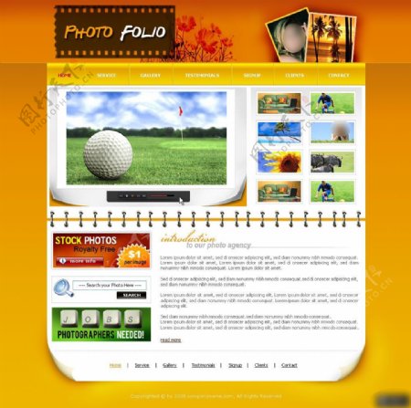 高尔夫球网页设计