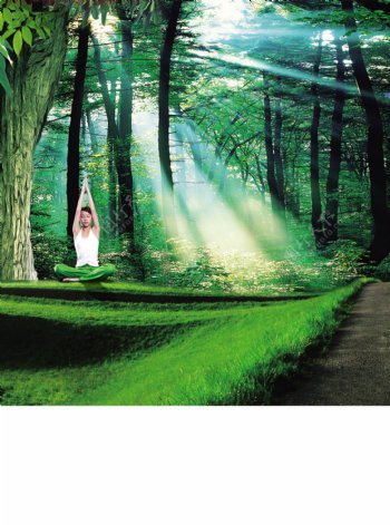 森林瑜伽图片