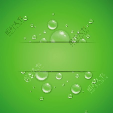 透明气泡绿色背景矢量素材