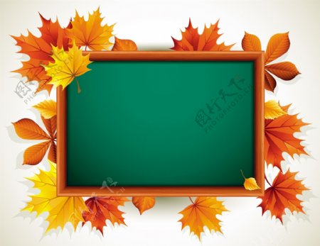 枫叶黑板开学返校背景图片