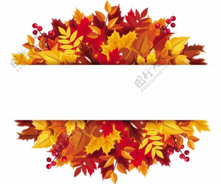 美丽的秋天的树叶矢量图形背景02