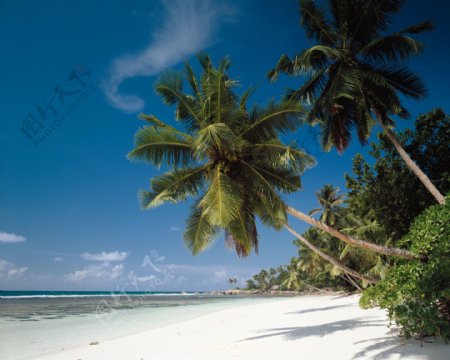 旅游风光风景海边大自然海滩天空海域海岛广告素材大辞典