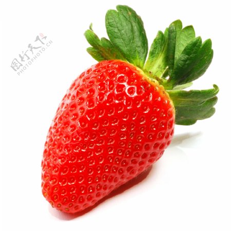 高清草莓png图片素材下载