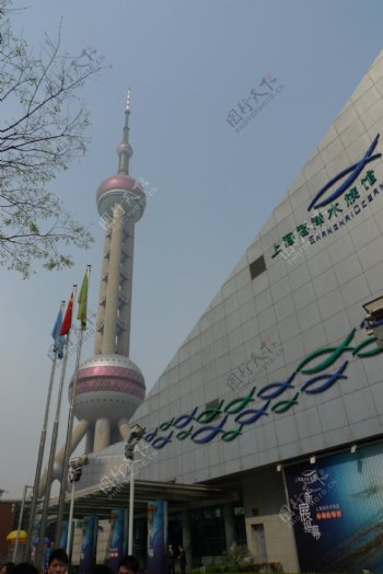 上海浦东海洋水族馆图片