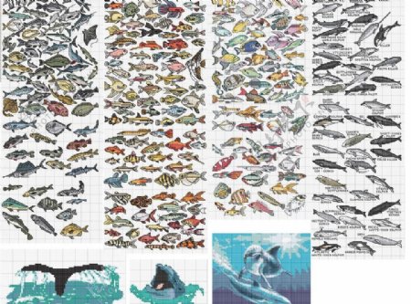 十字绣鱼类图谱图片