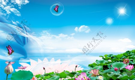 蓝天花朵背景图片