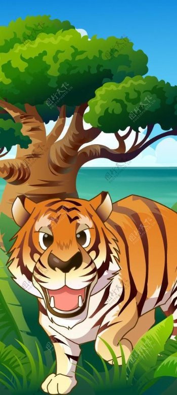 可爱动物绿色森林老虎图片