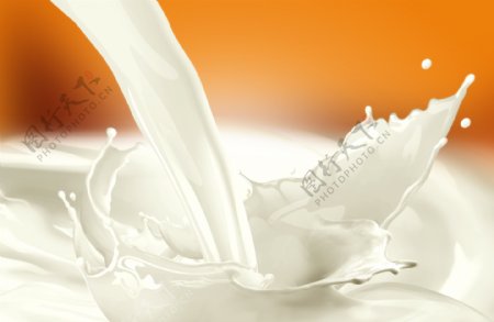 冲牛奶图片