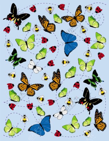 蝴蝶排列图案