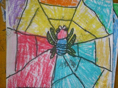 儿童蜡笔画蜘蛛网图片