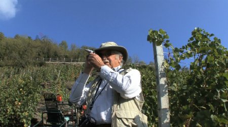 意大利希德测试葡萄与机器股份的录像视频免费下载