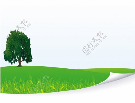 新鲜的绿色草地的草和树的背景模板矢量