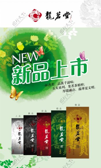 新茶宣传页宣传单海报