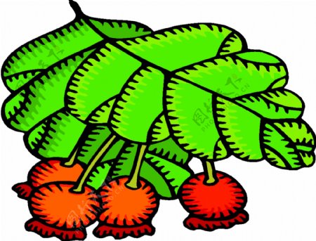 卡通蔬菜水果55