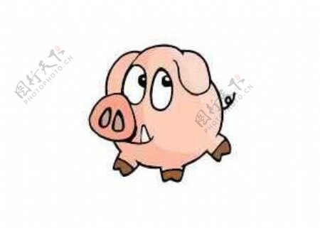 卡通生肖猪年素材小胖猪矢量图54