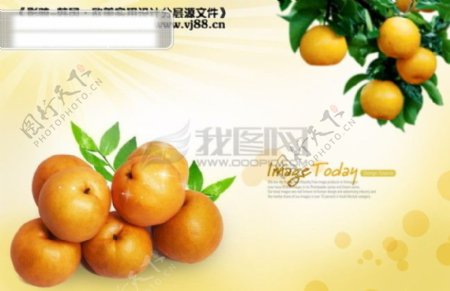 桔子新鲜健康营养水果影骑韩国实用设计分层源文件PSD源文件