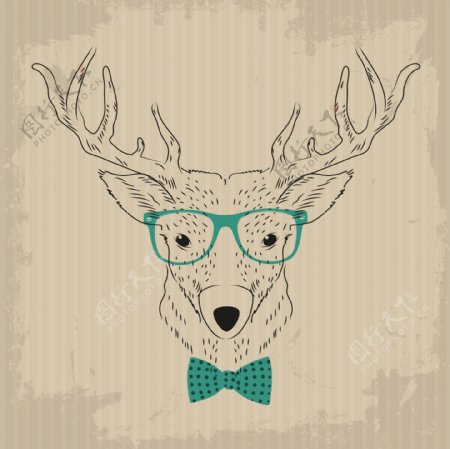 带眼镜的鹿