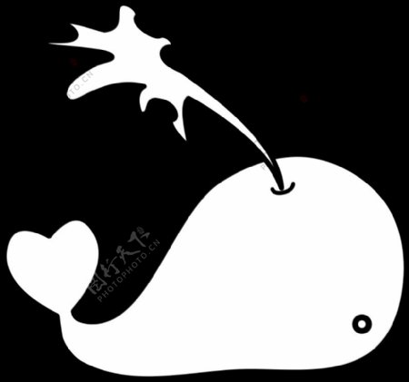 鲸鱼的爱