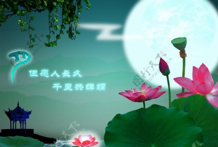 月满中秋节日素材图片