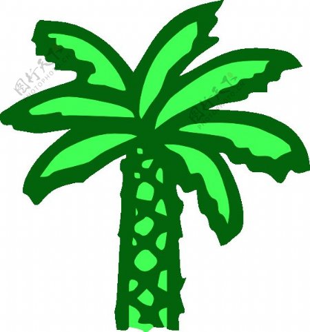 绿色的棕榈树剪贴画漫画