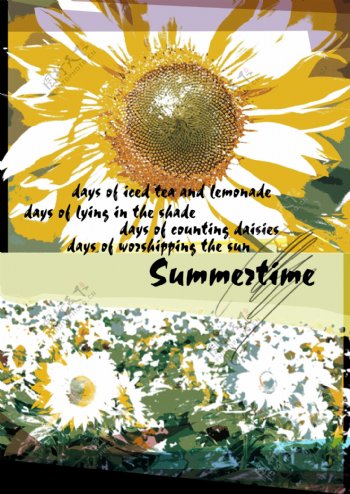 夏日向日葵背景图