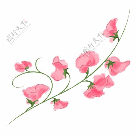 印花矢量图写实花卉花朵野花免费素材