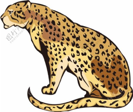 印花矢量图动物豹抽象动物色彩免费素材
