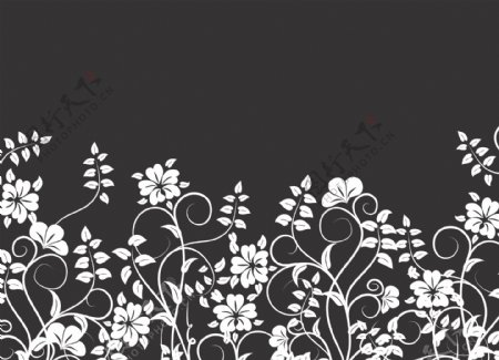 黑色和白色的花和植物的剪影
