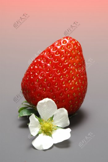 草莓清晰