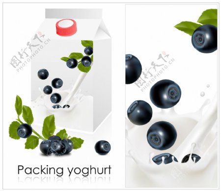矢量水果图案牛奶包装图片