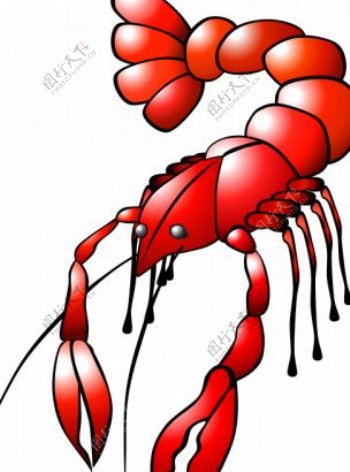 红龙虾的矢量图形