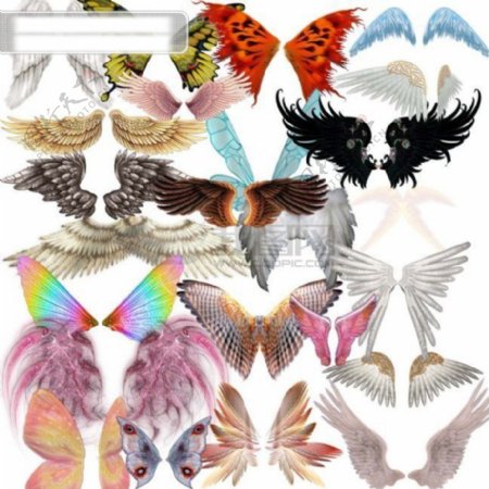 天使的翅膀图片非主流天使的翅膀图片下载