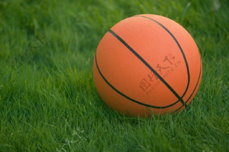草地上的篮球图片