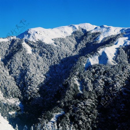 冬天雪景