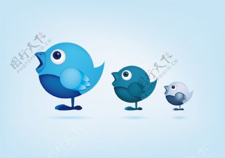 3个可爱的社会推特小鸟矢量集
