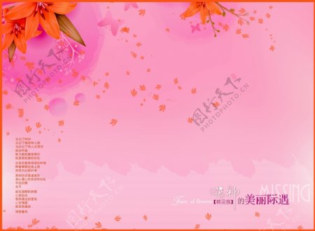 影楼粉色花朵溶图素材模板