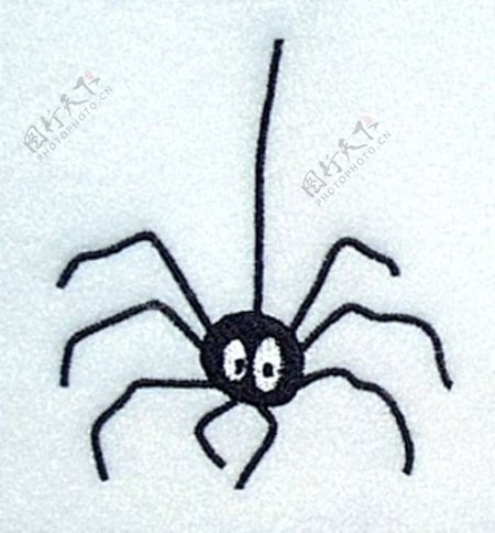 绣花动物蜘蛛色彩黑色免费素材