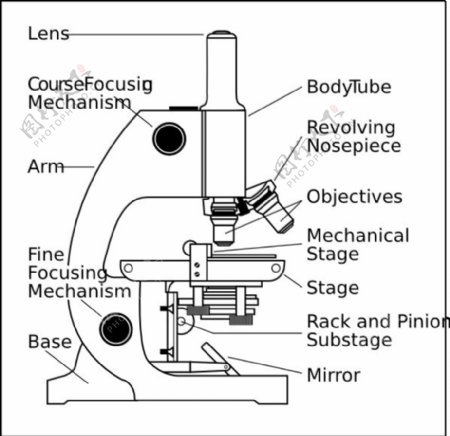 标签剪贴画2显微镜