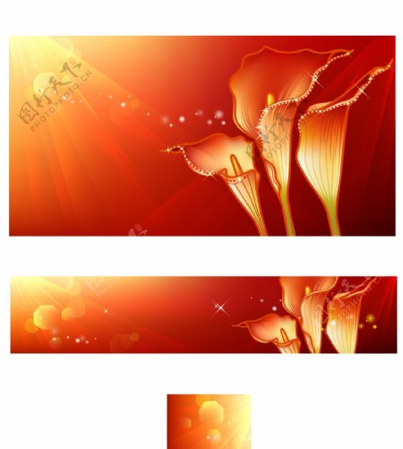马蹄莲的温馨花卉插画集合