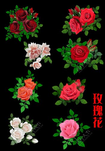 七夕玫瑰花分层设计素材