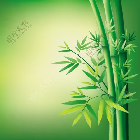 矢量绿色翠竹素材