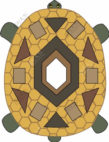 印花矢量图动物乌龟乌龟色彩免费素材